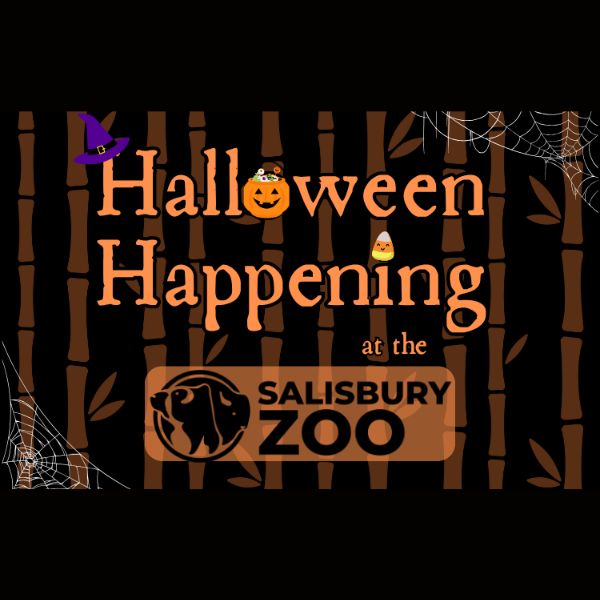 Halloween Happening at the Salisbury Zoo image